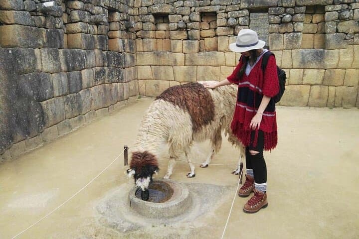 Machu Picchu Full-Day Private Tour from Cusco: Complete Visitor's Guide photo 5