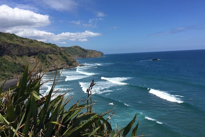 Wine, Honey & Black-Sand Beaches: Kumeu Wineries and Muriwai Day Tour from Auckland photo 3