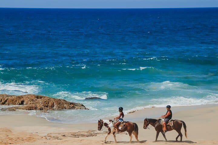 Horseback Riding and Tacos at Migriño Beach — Whale-Watching Ride in Cabo San Lucas photo 1