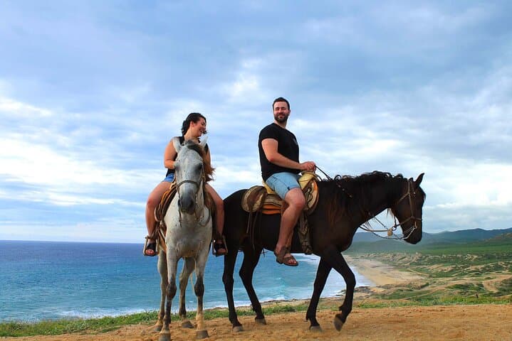 Horseback Riding and Tacos at Migriño Beach — Whale-Watching Ride in Cabo San Lucas photo 2
