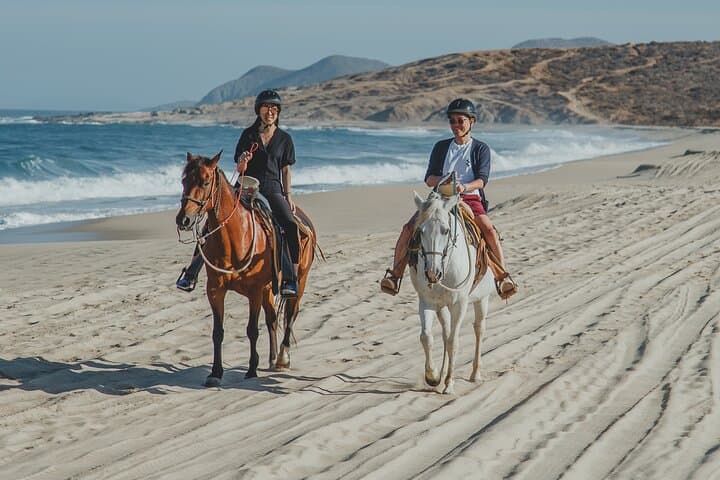 Horseback Riding and Tacos at Migriño Beach — Whale-Watching Ride in Cabo San Lucas photo 3