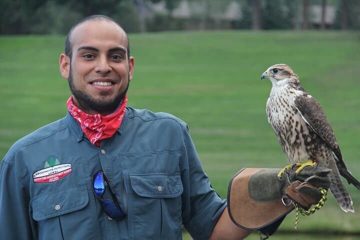 Colorado Springs Hands-On Falconry Class: Beginner Falconry Lesson with Hawks, Falcons & Owls