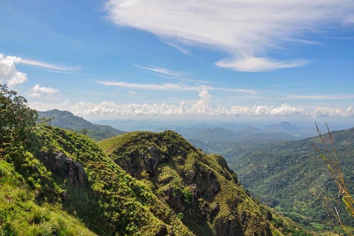Hiking Ella Rock, Little Adam's Peak & Nine Arches — Scenic Day Tour from Hambantota photo 4