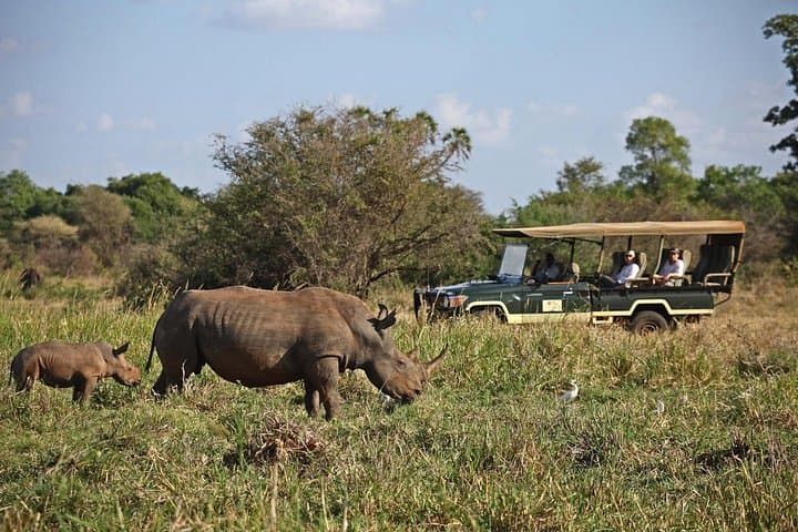 3-Day Meru National Park Safari: Private Game Drives, Birding & Elephant Herds photo 2