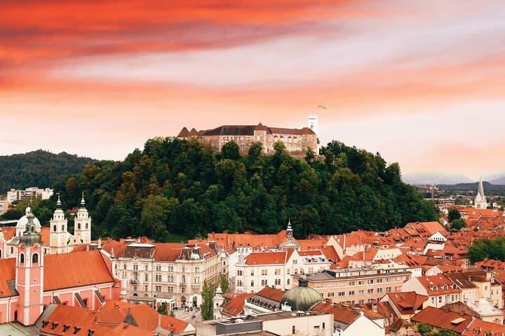 Day Trip from Trieste: Ljubljana, Postojna Cave & Lipica Private Tour photo 3