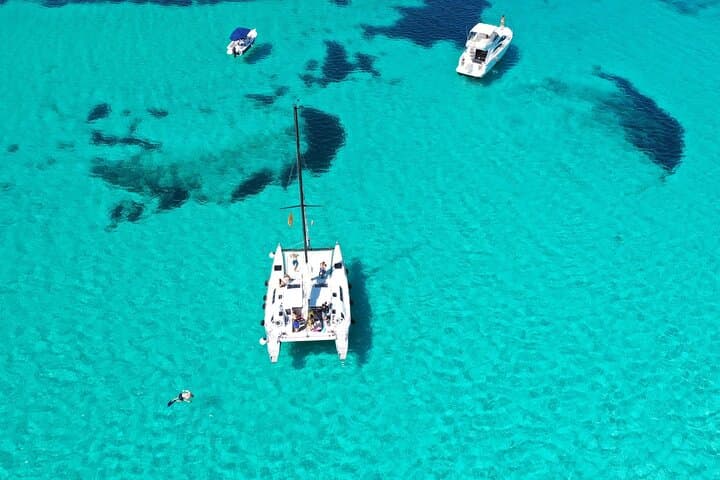 Catamaran Excursions in Asinara Island National Park from Stintino photo 5