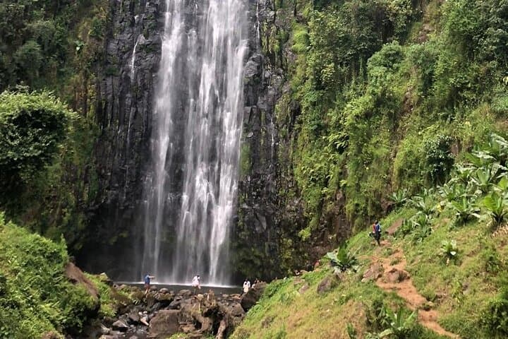 Materuni Waterfall Hike & Coffee Tour — Day Hike and Coffee Experience from Moshi photo 6