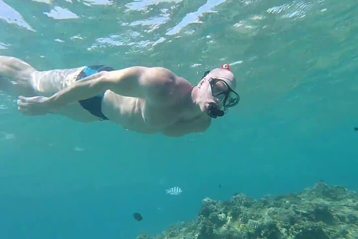 Swim With Dolphins Tour Hurghada — Snorkel Shaab Samadai and Giftun photo 6