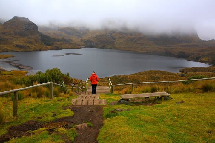 Full-Day Birdwatching in Cajas National Park from Cuenca photo 3