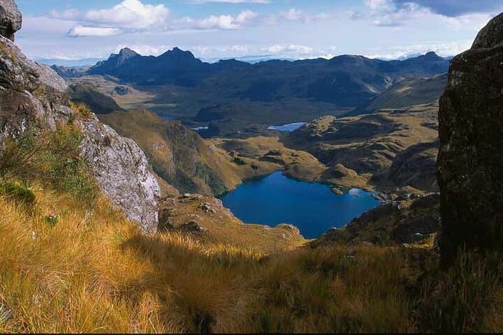 Full-Day Birdwatching in Cajas National Park from Cuenca photo 4
