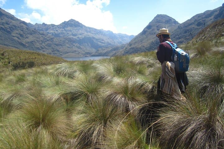 Full-Day Birdwatching in Cajas National Park from Cuenca
