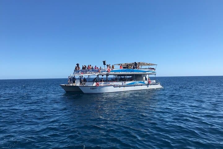 Cabo Escape Snorkel Cruise: Land's End, Chileno Bay & Open-Bar Boat Tour photo 6