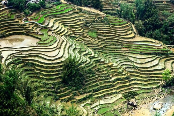 Sapa 3-Day Trek with Homestay: Ta Van, Giang Ta Chai & Rice Terraces photo 6