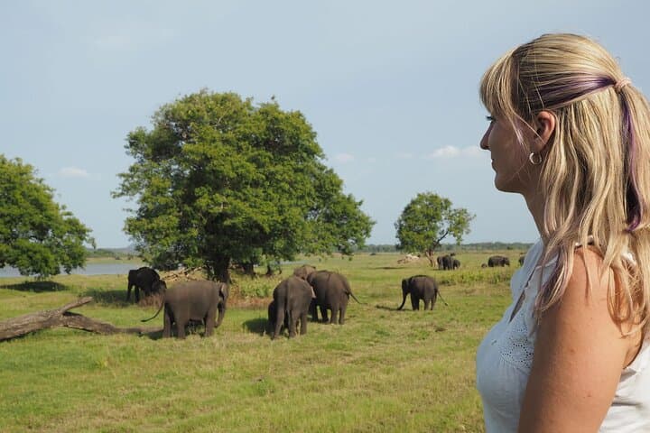 Sigiriya Rock and Minneriya Safari: A Full‑Day Cultural and Wild Elephant Experience photo 5