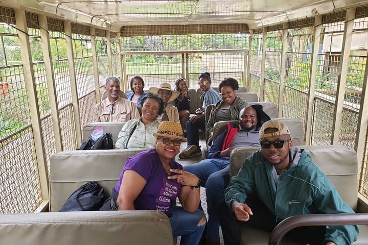 Lion & Safari Park near Johannesburg: Big Cats, Cheetahs & Plains Game Day Tour photo 4