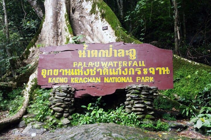 Pala-U Waterfall Jungle Tour from Hua Hin — Multi-Tier Falls & Kaeng Krachan Wildlife photo 4