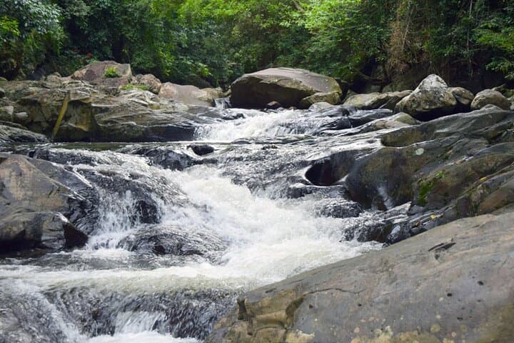 Pala-U Waterfall Jungle Tour from Hua Hin — Multi-Tier Falls & Kaeng Krachan Wildlife photo 3