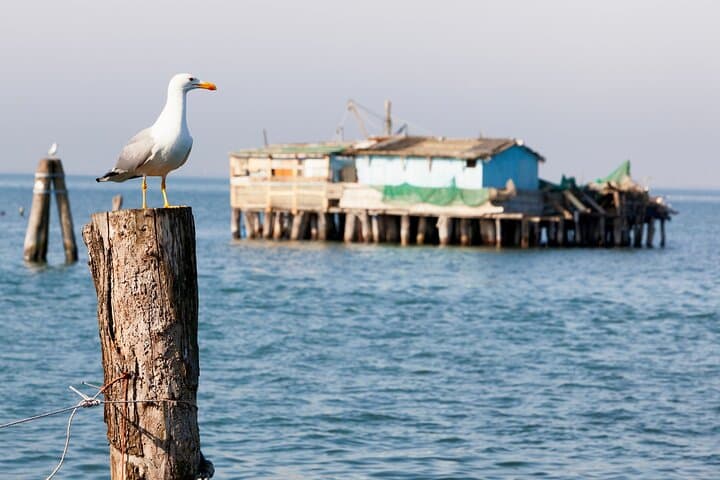 Pellestrina Bike Tour: Island-Hopping the Venice Lagoon from Lido to Chioggia