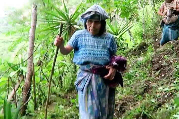 Upper Mayan Trail to Lake Atitlán — Strenuous Hike, Mayan Markets & Cloud Forest photo 4