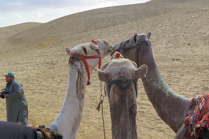Giza Pyramids, Egyptian Museum & Khan El Khalili: Full-Day Private Tour from Cairo photo 3