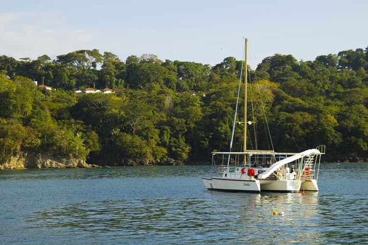 Manuel Antonio Sailing Tour: Snorkel, Dolphins & Lunch from Quepos photo 3