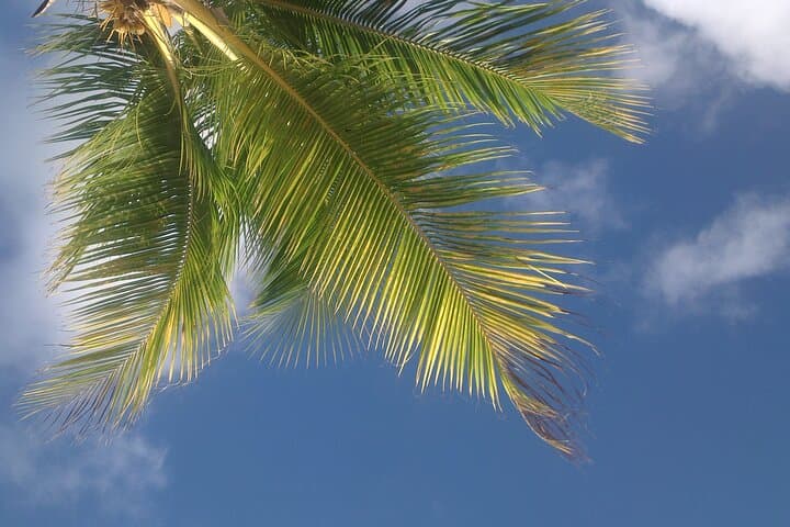St. Maarten Beach Hopping Tour — Maho, Orient Bay & Mullet Bay in One Day photo 6