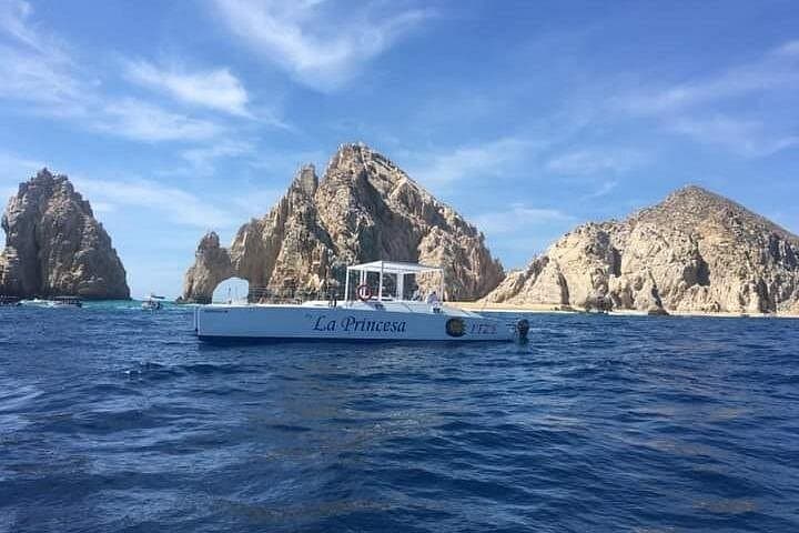 Sailing with Whales in Los Cabos: 2-Hour Catamaran Wildlife Cruise photo 3