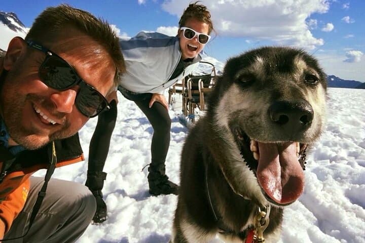 Helicopter to Herbert Glacier: Juneau Dogsledding & Glacier Landing Experience photo 6