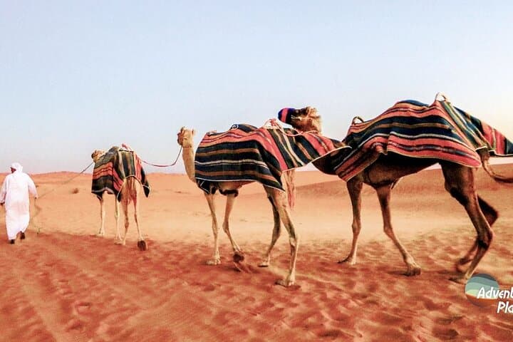 Dubai Desert Safari: Dune Bashing, Camel Rides & Live BBQ Under the Stars photo 5