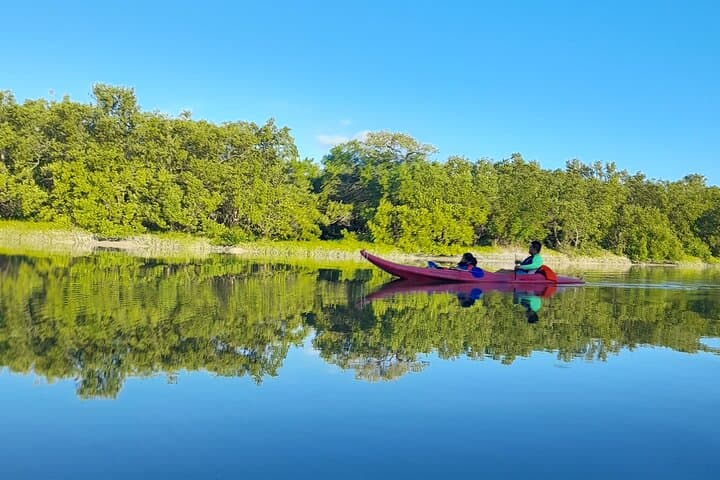 Paddling the Mangroves: Kayak Experience in Holbox Island photo 5