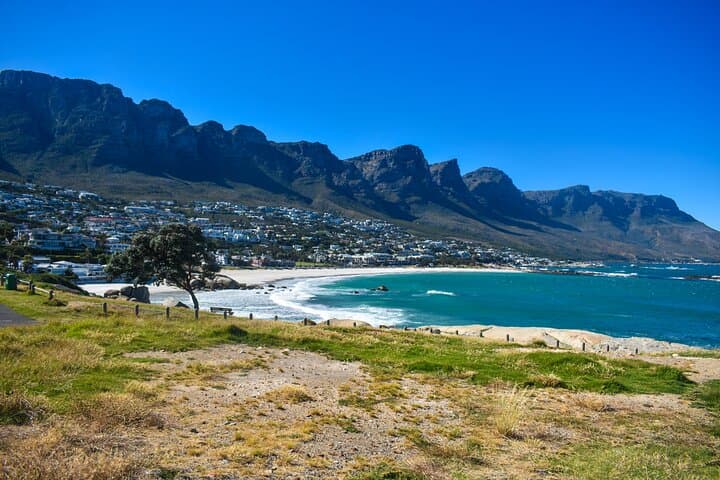 Cape Town Full-Day Private Tour: Table Mountain, Cape Point & Boulders Beach Penguins photo 4
