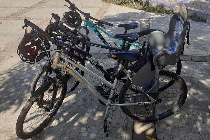 Ixtapa Eco Bicycle Tour: Rainforest Paths, Mangroves & Lagoon Wildlife photo 2