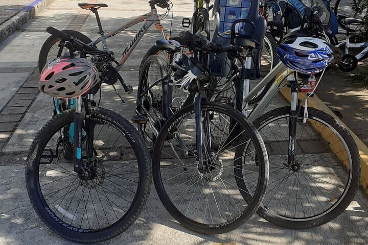 Ixtapa Eco Bicycle Tour: Rainforest Paths, Mangroves & Lagoon Wildlife photo 5