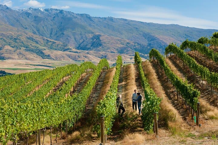Central Otago Private Wine Tour from Queenstown — Heli, Boutique & Classic Tastings photo 2