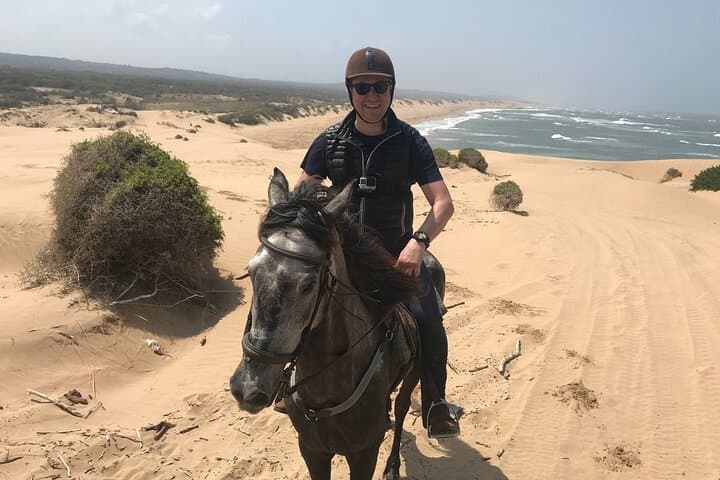 Essaouira 3-Hour Horse Riding: Beach Gallops, Dunes & Eucalyptus Forests photo 2