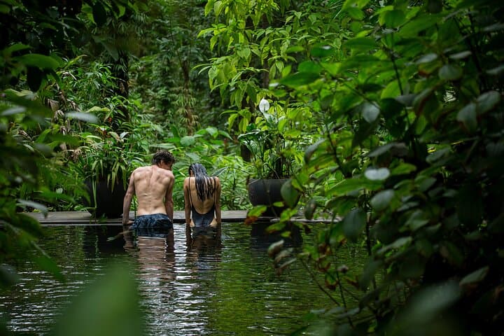 Healing Thermals at Sensoria: Rainforest Thermal Pools, Waterfalls & Chef Lunch photo 2
