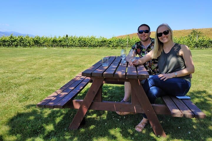 Marlborough Afternoon Wine Tour: 3-Cellar Tasting from Blenheim & Renwick photo 4
