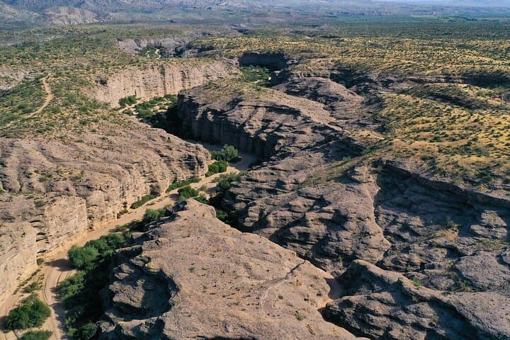 Sonoran Desert Jeep Tour from Scottsdale: Off-Road Safari into Tonto National Forest photo 4