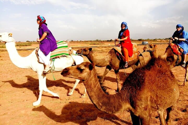 Atlas Mountains and Agafay Desert Day Trip with Camel Ride from Marrakech photo 3