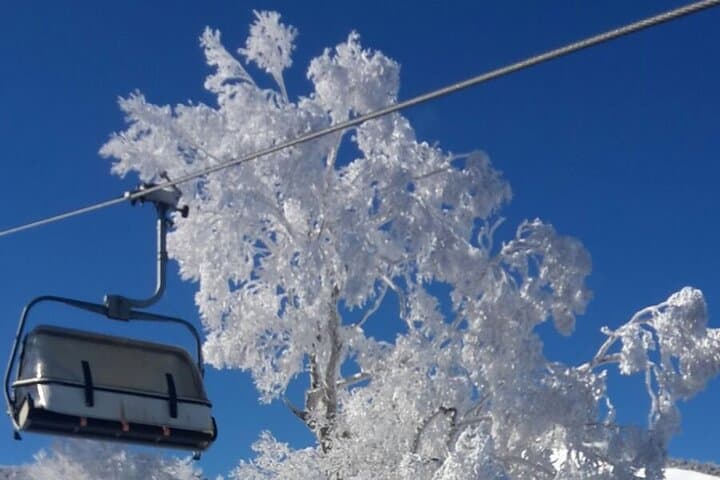 Master the Slopes: Full-Day Private Ski Lesson in Yuzawa, Japan photo 4