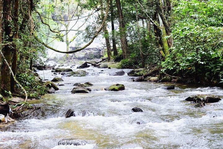 Doi Inthanon Sunrise Hike: Chiang Mai's Highest Peak, Twin Pagodas & Waterfalls photo 2