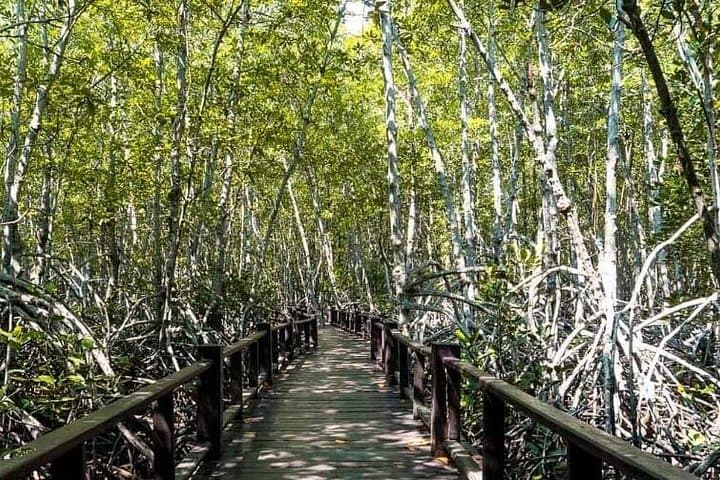 Pranburi Mangrove Walk and Khao Daeng Viewpoint Day Tour from Hua Hin photo 4