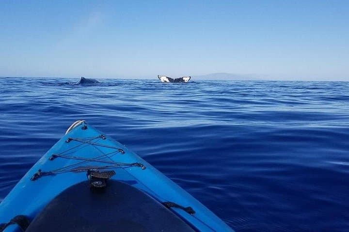 Paddle with Turtles: South Shore Kayak and Snorkel from Makena Landing, Maui photo 2
