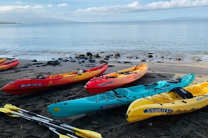 Maui West Shore Kayak and Snorkel — Paddle to Reefs and West Maui Views photo 5