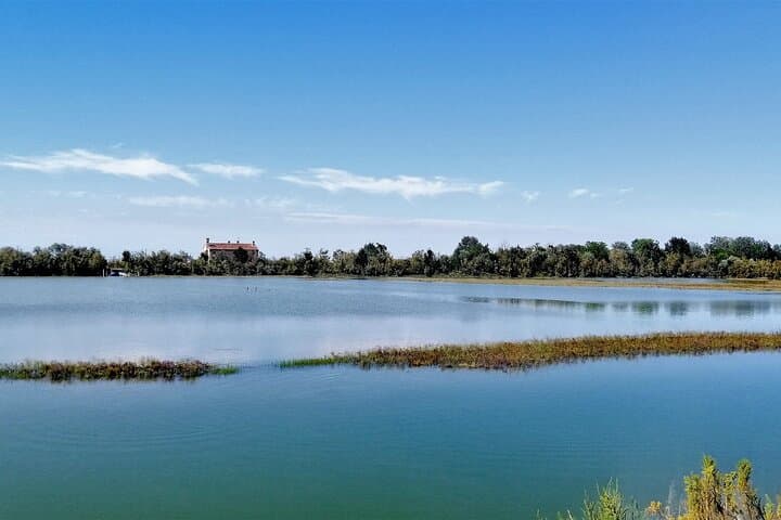 Lio Piccolo Flamingos & Birdwatching Bike Tour — Venice Lagoon Escape photo 3