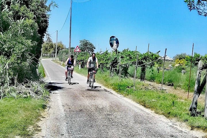 Lio Piccolo Flamingos & Birdwatching Bike Tour — Venice Lagoon Escape photo 2