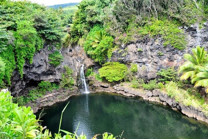 Road to Hana Private Tour: Waterfalls, Black Sand Beaches & Bamboo Forest photo 2