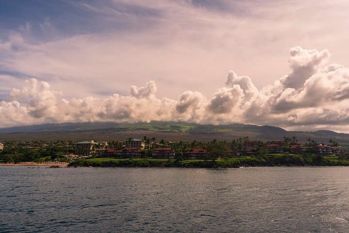 Road to Hana Private Tour: Waterfalls, Black Sand Beaches & Bamboo Forest photo 6