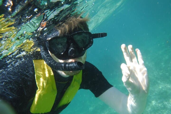 Snorkeling the Mesoamerican Barrier Reef: Small-Group Tour from Puerto Morelos photo 6