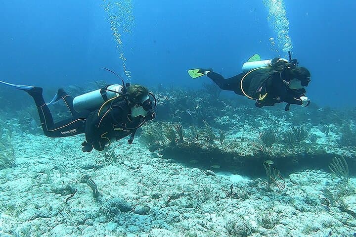 Discover Scuba in Puerto Morelos — Introductory Reef Dive on the Mesoamerican Barrier Reef photo 2